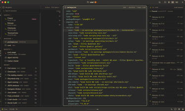 A JSON window on package.json next to the Navigator and a CI widget