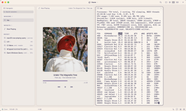 A light theme: the Navigator, the Now Playing widget on a song and top in a terminal